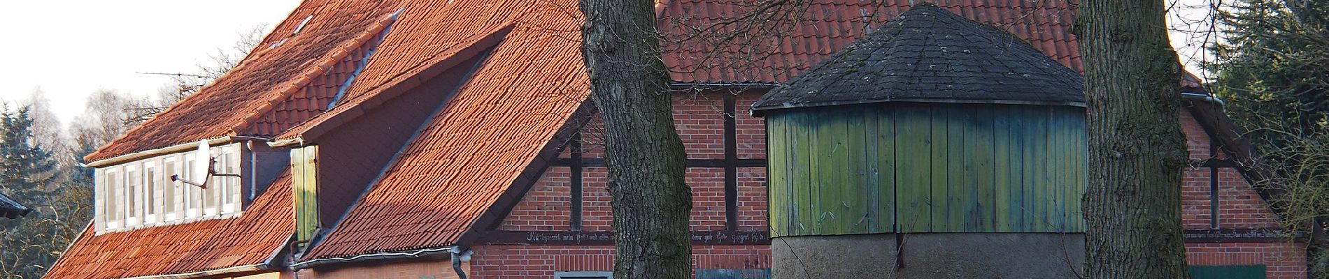 Randonnée A pied Südheide - Südheide 'In einem Bächlein helle' W6m (mittlere Tour) - Photo