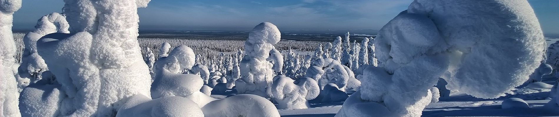 Randonnée A pied Posio - Riisin rääpäsy - Photo