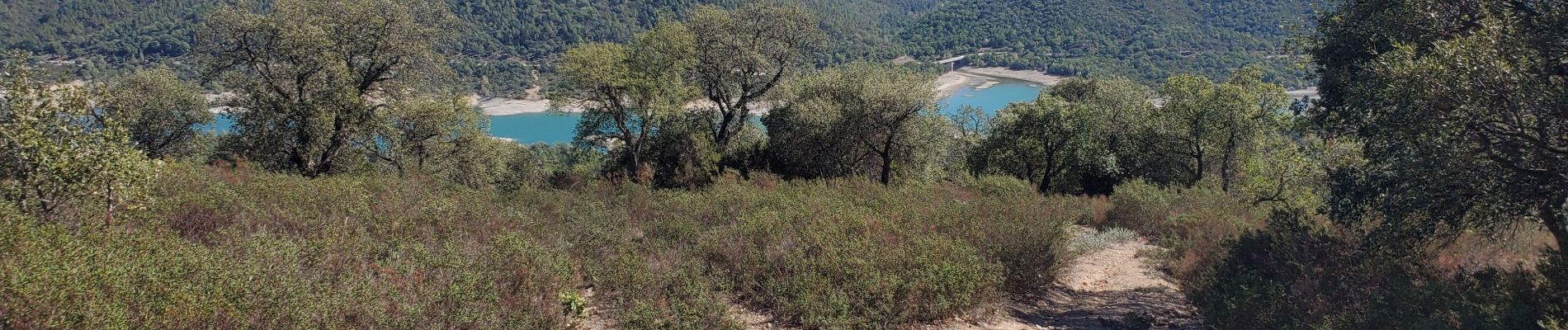 Tour Wandern Les Adrets-de-l'Estérel - Saint cassien - Photo