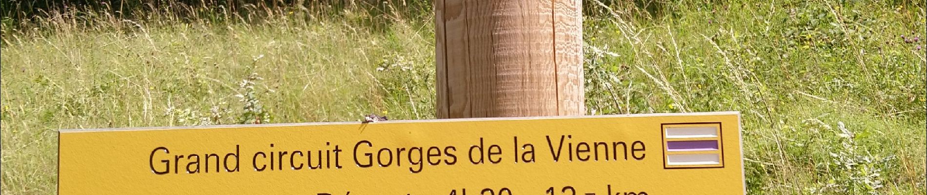 Trail Walking Eymoutiers - Circuit des gorges de la Vienne  - Photo