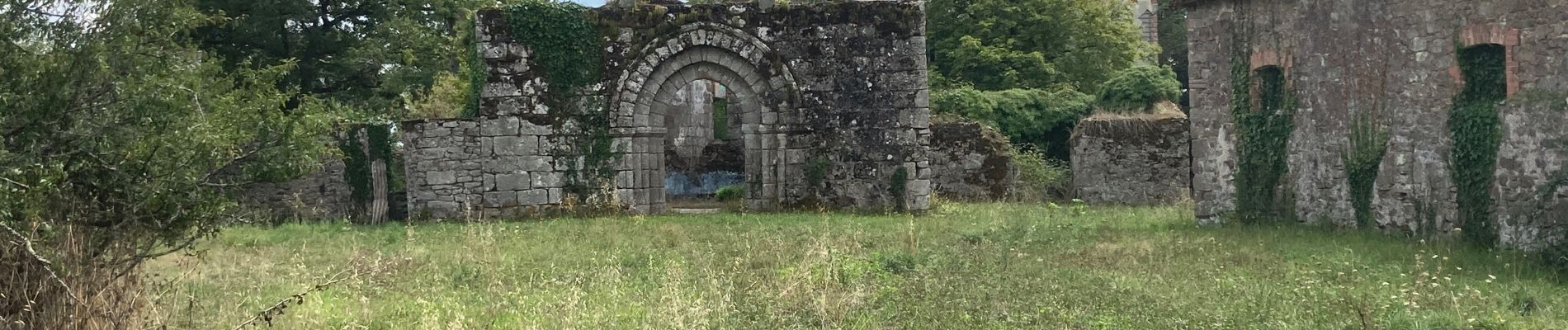 Tocht Stappen Mortagne-sur-Sèvre - Evrunes  - Photo