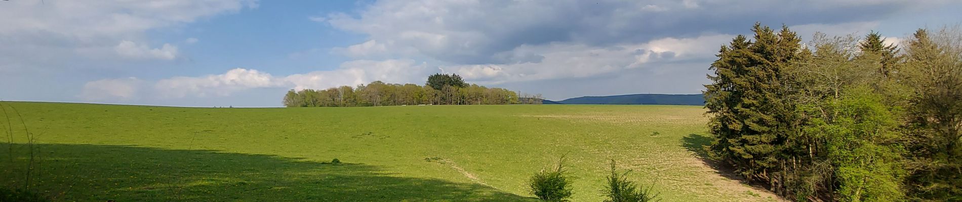 Tocht Stappen La Roche-en-Ardenne - la roche - rendeux - la roche - Photo