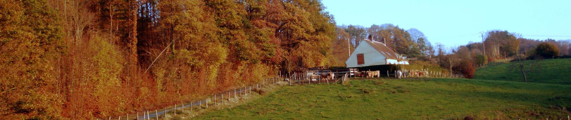 Trail Walking Val-au-Perche - Gémages - Le-Theil-sur-Huisne (Val-au-Perche) 9,3 km - Photo