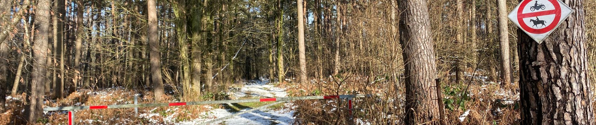 Percorso Marcia Gerpinnes - Bois de Scu - Photo