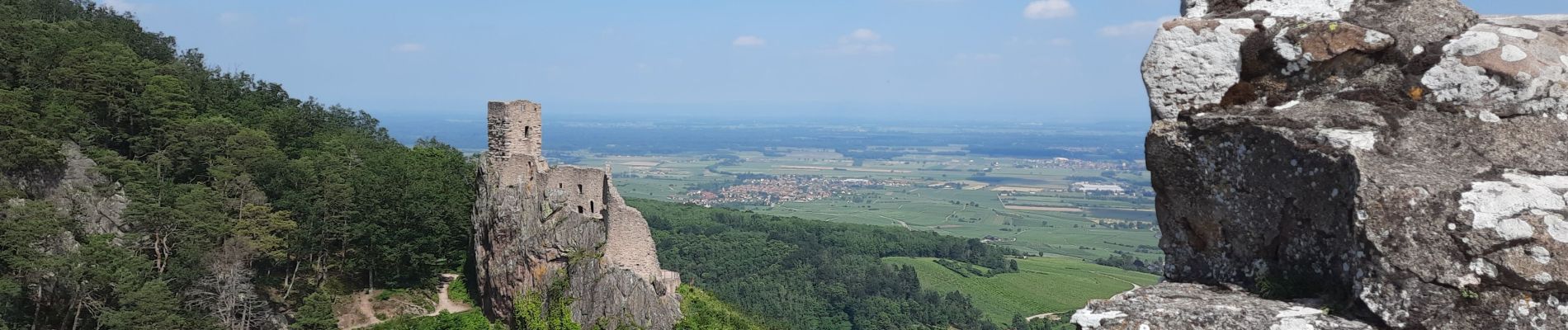 Tour Wandern Rappoltsweiler - Les 3 châteaux de Ribeauvillé - Photo