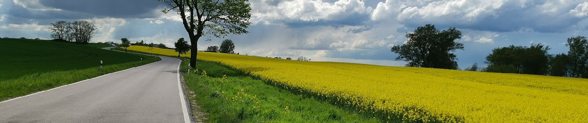 Tour Zu Fuß Oberbarnim - Oberbarnimer Feldsteinroute - Photo