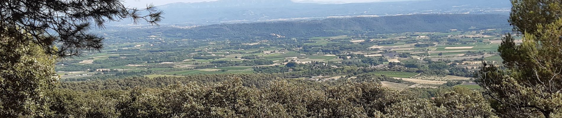 Tour Wandern Cucuron - Cucuron Vaugines - Rocher de Curet - Photo