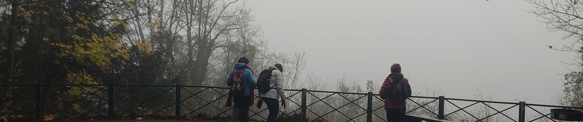 Tour Wandern Saint-Cloud - Du pont de St Cloud à Chatou  - Photo