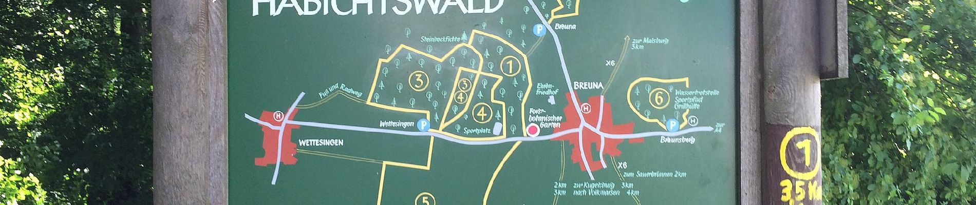 Tour Zu Fuß Breuna - Naturpark Habichtswald: Rundwandweg 5 ab Wanderparkplatz Wettesingen - Photo