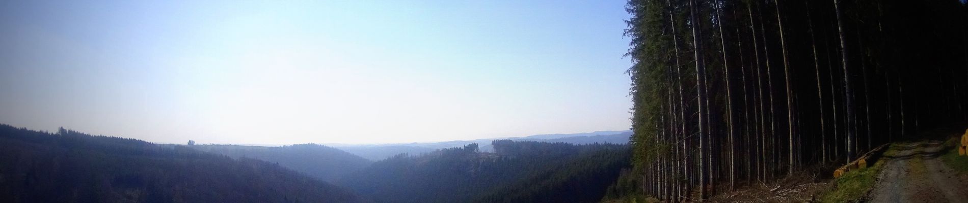 Tocht Mountainbike La Roche-en-Ardenne - activity_8521682946 - Photo