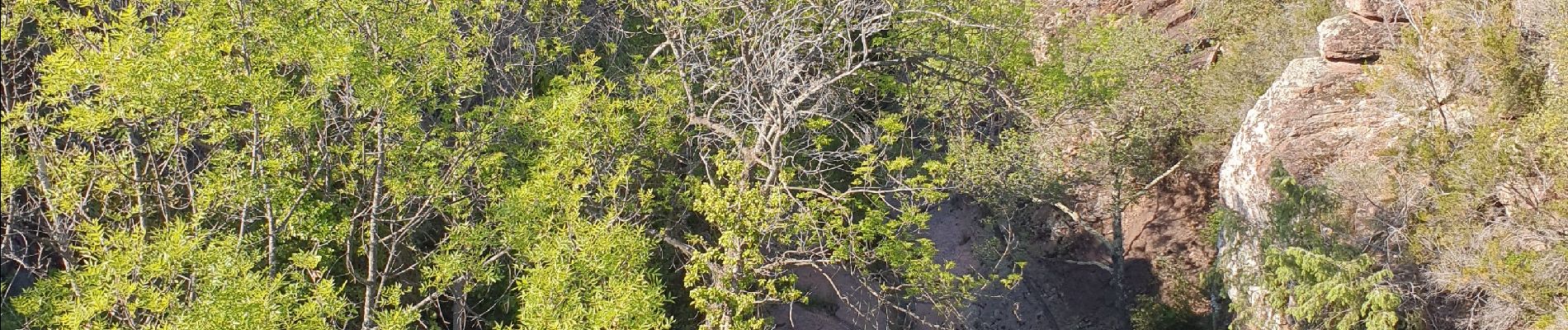 Excursión Senderismo Roquebrune-sur-Argens - sral gorges du blavet 03/05/2023 - Photo