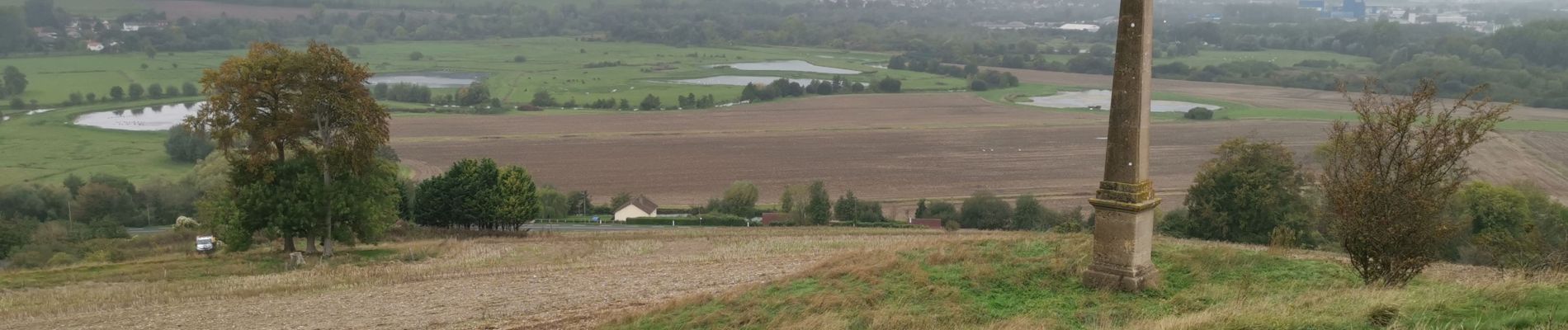 Randonnée Marche Arques-la-Bataille - forêt d'arques - Photo