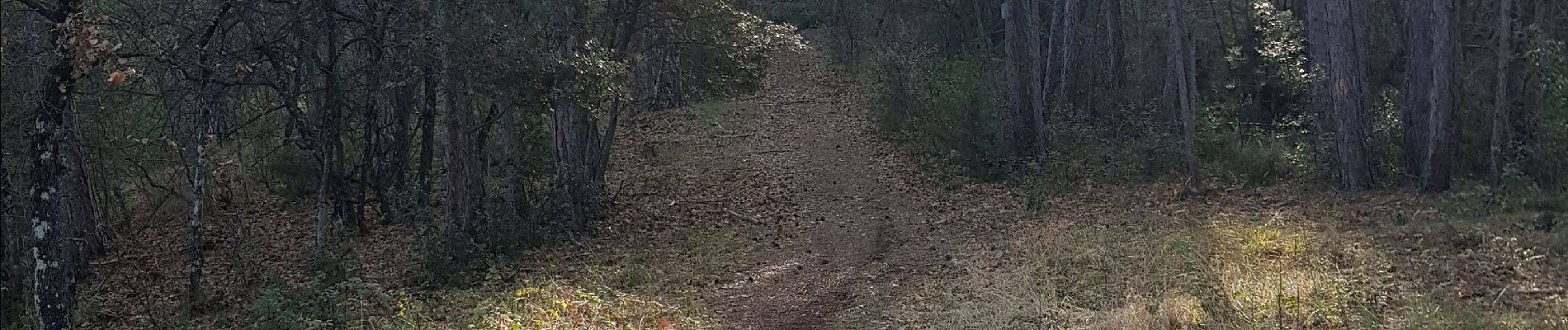 Tocht Stappen Manosque - Stationnement Pelicier, direction Dauphin - Photo