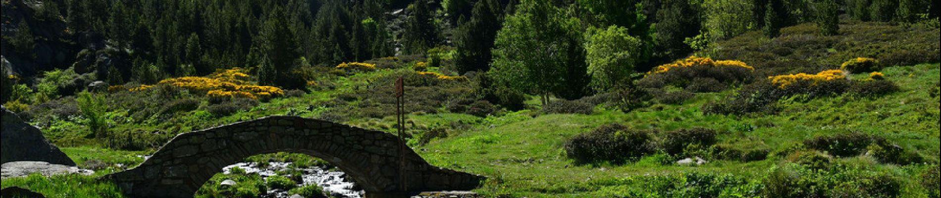 Tocht Stappen Unknown - Cascade de Juclar - Photo