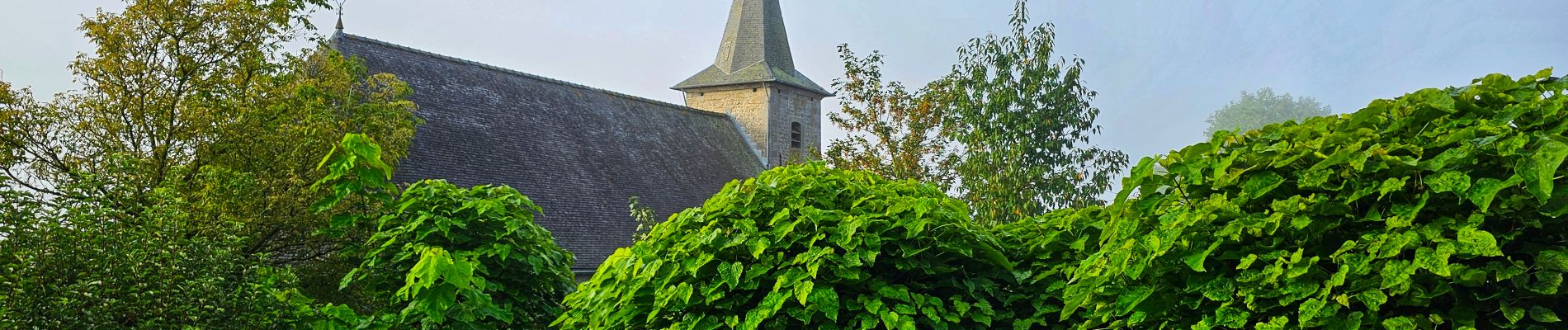 Randonnée Marche Philippeville - Balade de Roly à Villers-en-Fagne - Photo