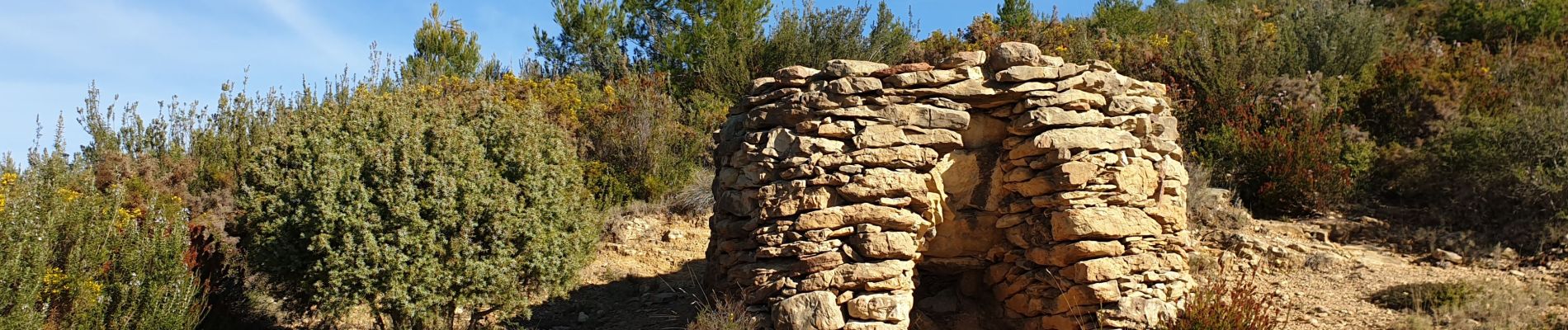 Tour Wandern Le Castellet - Sainte Anne du Castellet - Photo