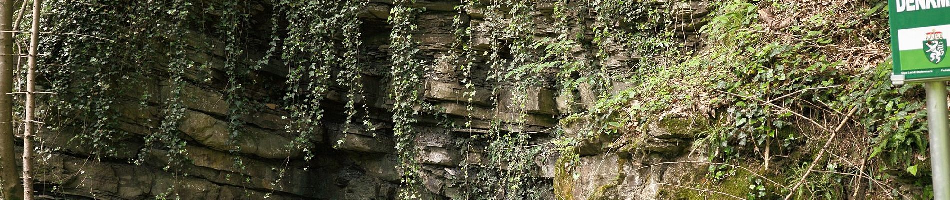 Tour Zu Fuß Bärnbach - Wanderweg 4 - Photo