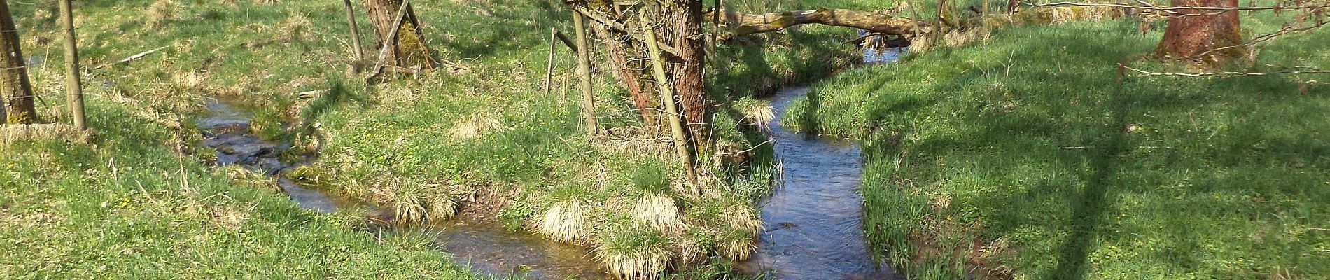 Percorso A piedi Jossgrund - Junge Jossa Lettgenbrunn ( Spessartfährten ) - Photo