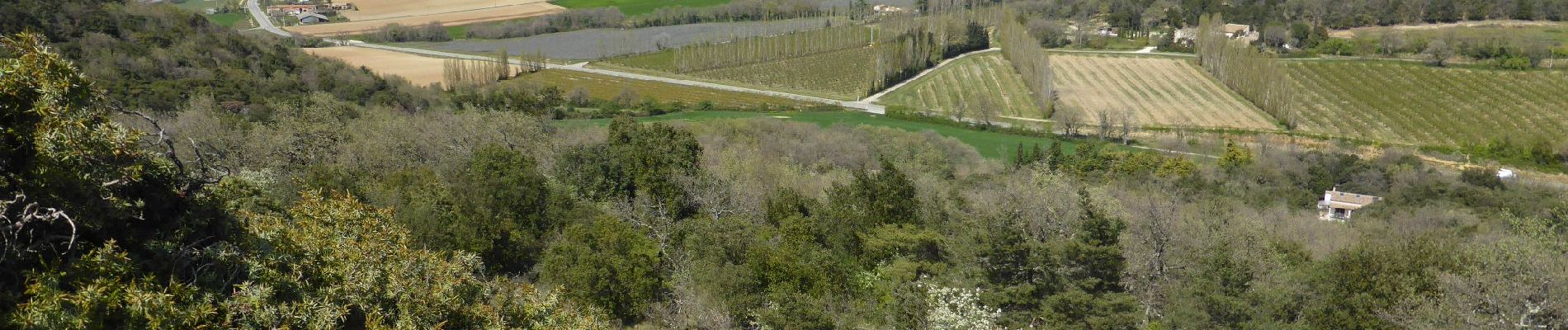 Trail Walking Saint-Marcel-lès-Sauzet - serre rond saint-marcel-les-sauzet - Photo