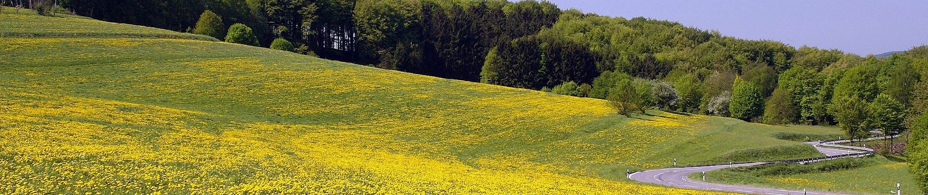 Tocht Te voet Abtsteinach - Rundwanderweg Abtsteinach 9: Strobersklingen-Weg - Photo