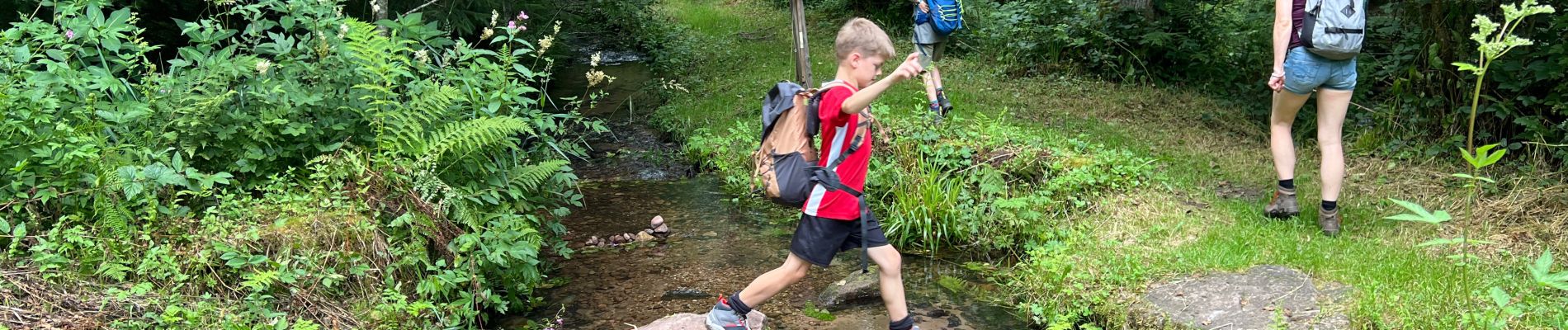 Tour Wandern Bad Wildbad - Kleinenzhof forellenpark - Photo