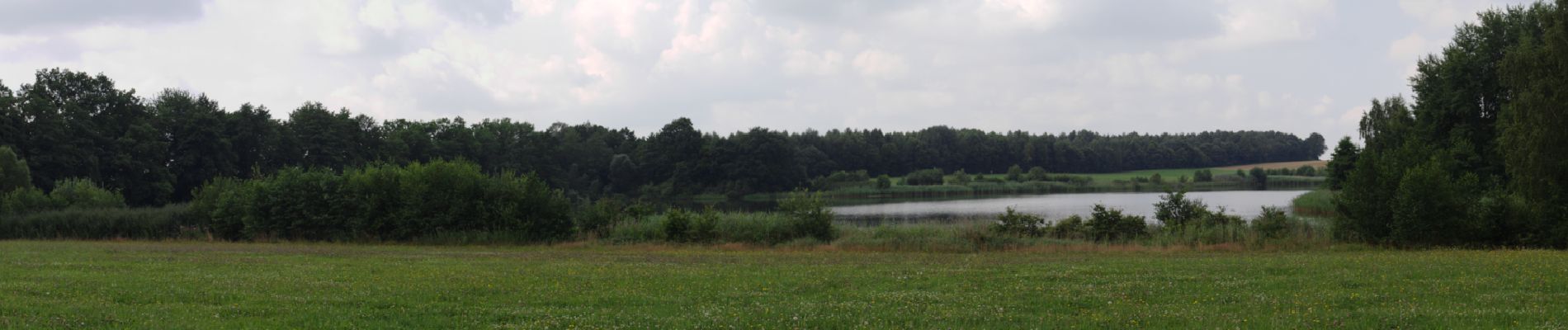 Percorso A piedi Birstein - Waschweiher Weg - Photo