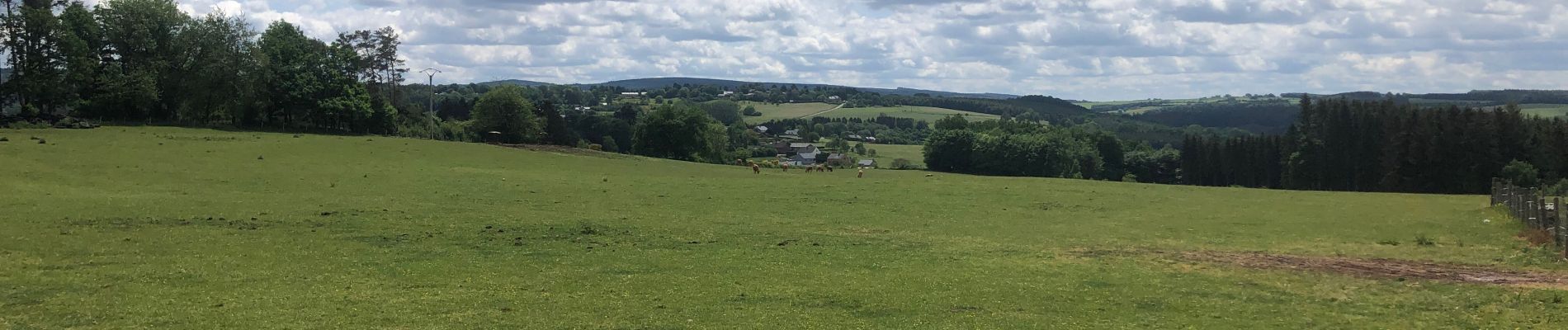 Tour Wandern Érezée - Erezee rode ruit mooi  - Photo