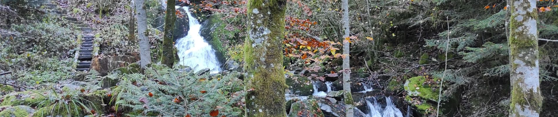 Tour Wandern Krüt - Chapelle S Nicolas Felzach - Photo