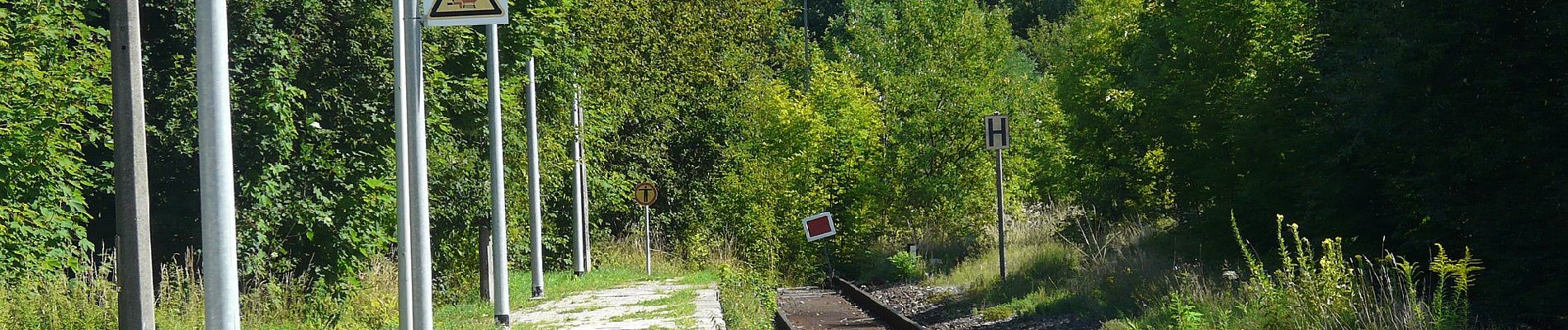 Tour Zu Fuß Simmelsdorf - Simmelsdorfer Rundwanderweg Grün 3 - Photo