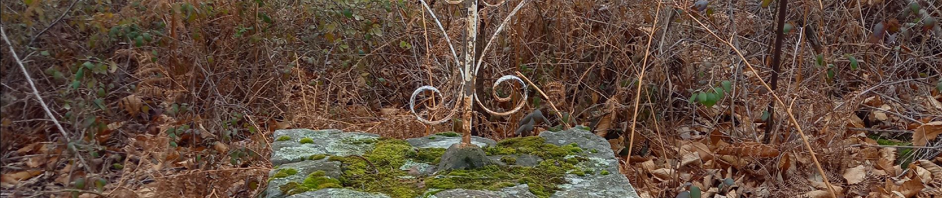 Tour Wandern Meyras - Beraudin Autureyres - Photo