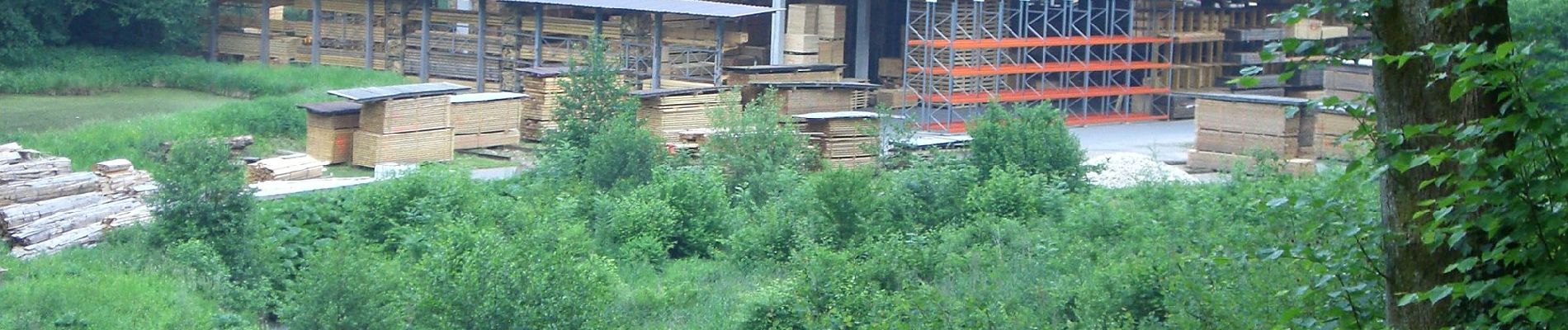 Tour Zu Fuß Waldenbuch - DE-SAV Roter Punkt, Neuenhaus - Burkhardtsmühle - Photo