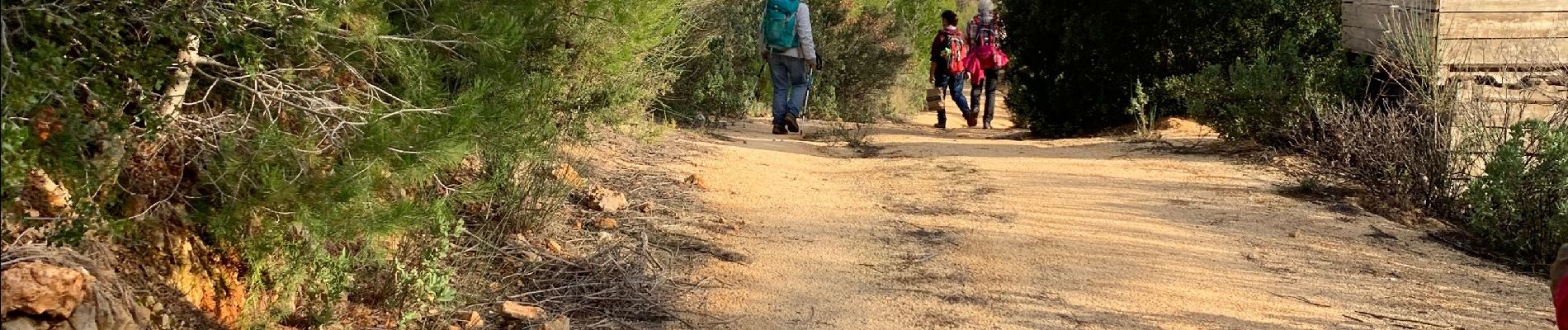 Trail Walking Le Castellet - Le vallon des martyr  - Photo