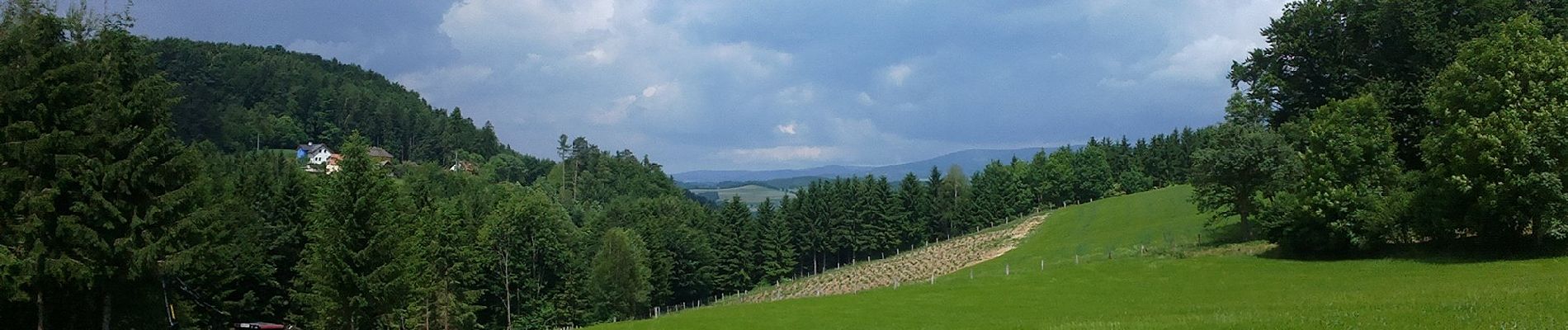 Randonnée A pied Rohrbach an der Lafnitz - Wanderweg 9 - Photo