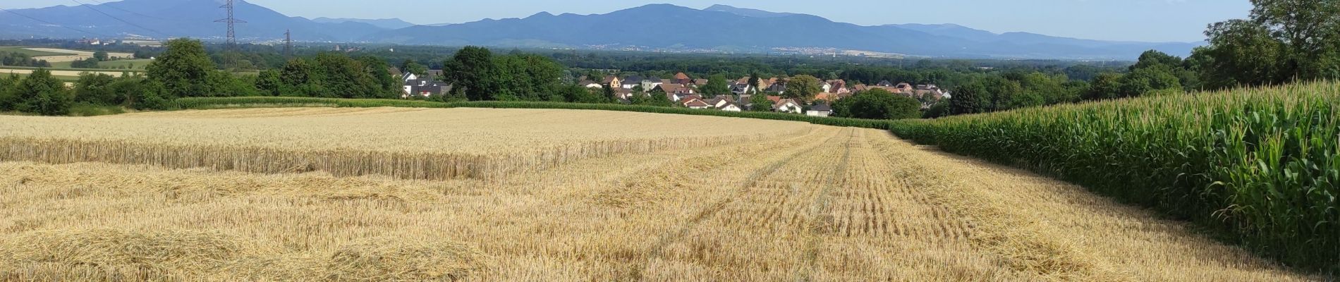 Tocht Stappen Heimsbrunn - heimsbrunn - Photo