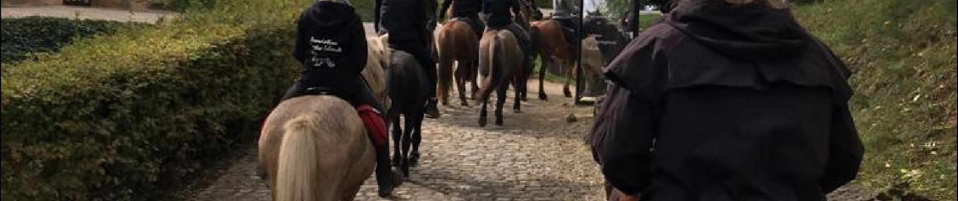 Percorso Equitazione Sierck-les-Bains - Sierck-Manderen-Apach - Photo