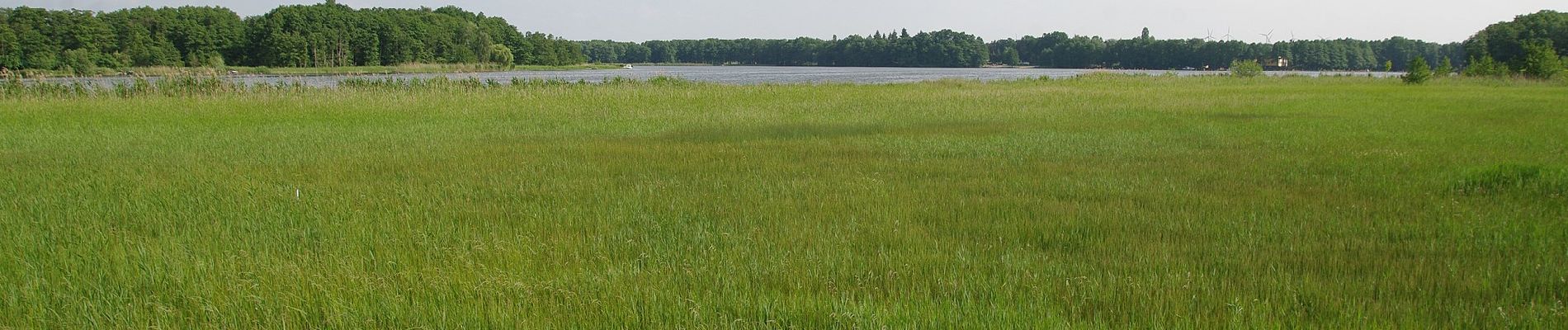 Tour Zu Fuß Kloster Lehnin - Rundweg Netzener See - Photo