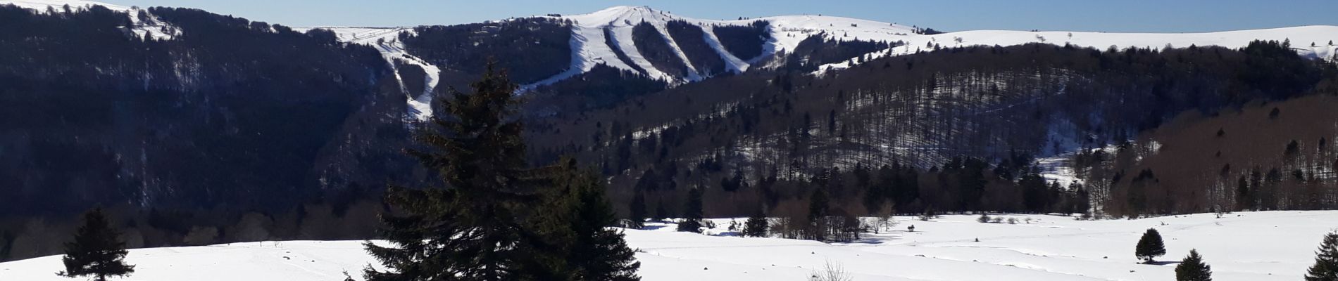 Trail Snowshoes Fellering - Tour du Markstein - Photo