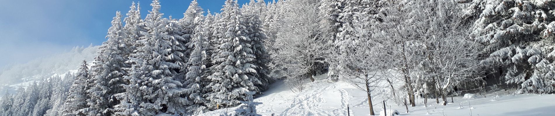 Tour Schneeschuhwandern Lans-en-Vercors - Circuit les Aigaux / Charande - Photo