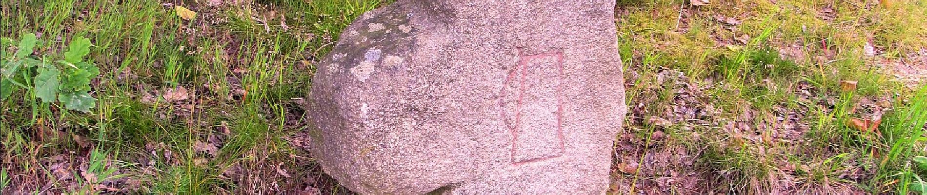 Percorso A piedi Windischeschenbach - Windischeschenbach Rundwanderweg Nr. 10 - Photo