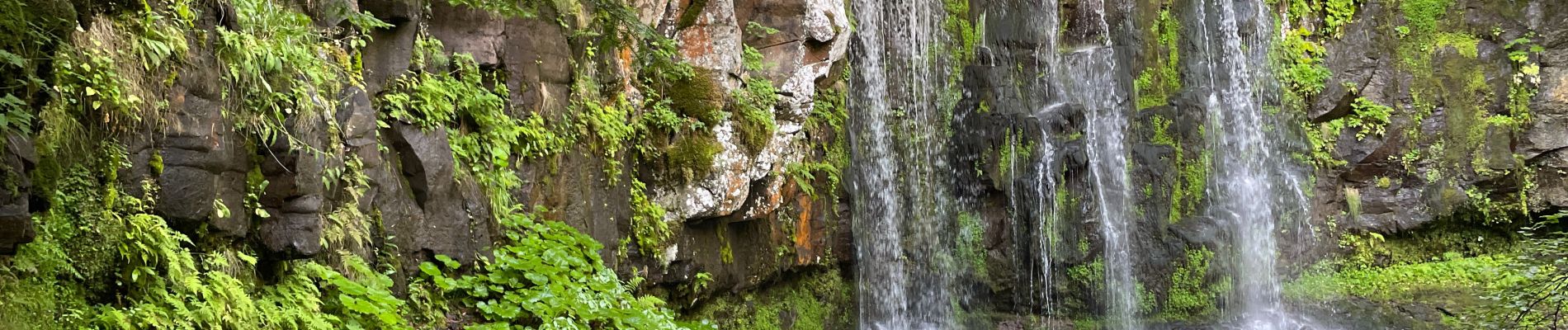 Excursión Senderismo Le Falgoux - Cascade du Biagun - Photo