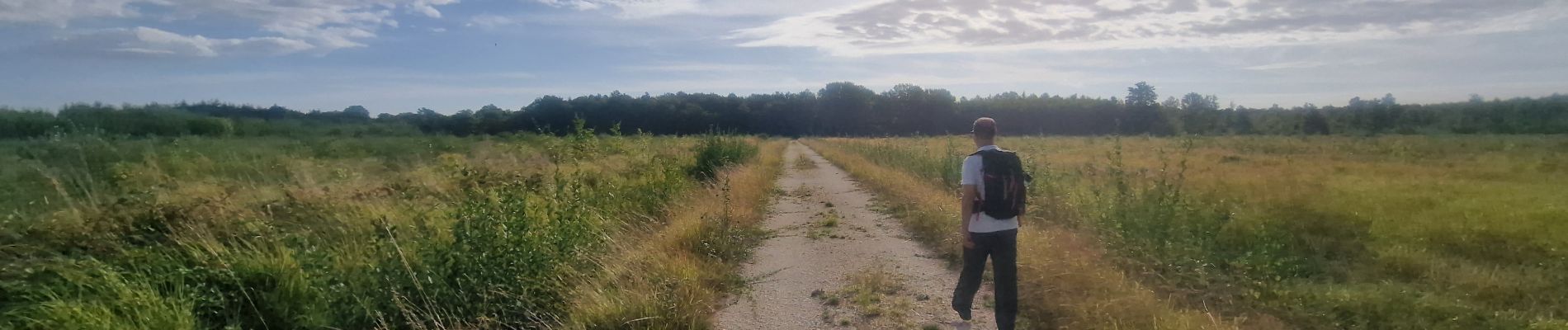 Randonnée Marche Pamfou - Boucle en forêt de Villefermoy - Photo