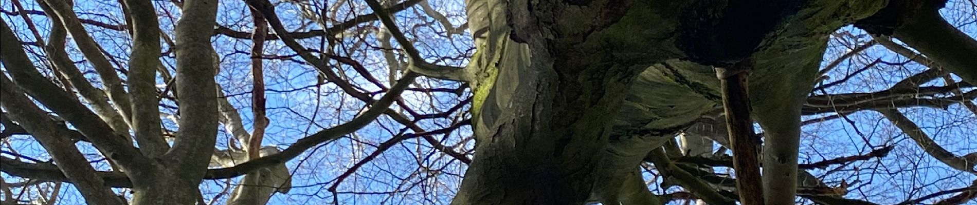 Excursión Senderismo Gerpinnes - Gougnies par les courtils  - Photo