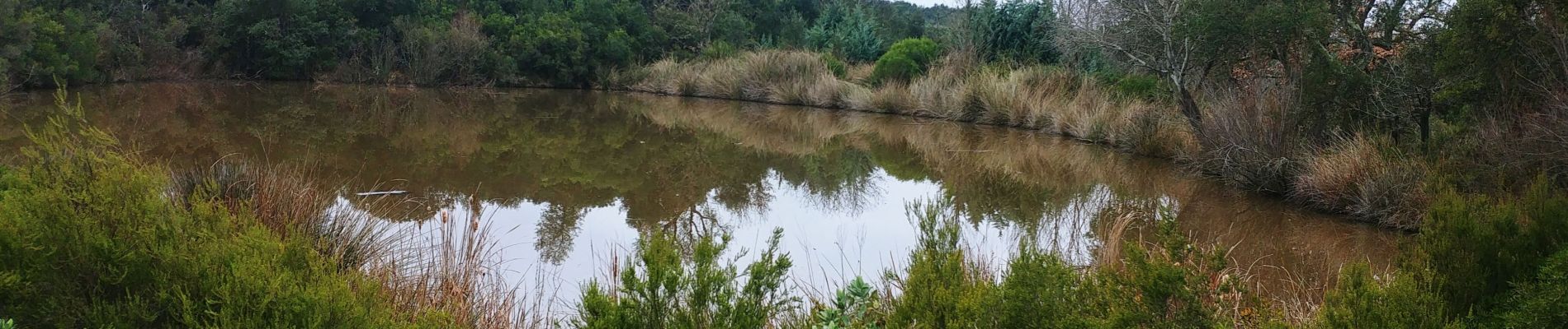 Tour Wandern Le Muy - les chaoumes - Photo