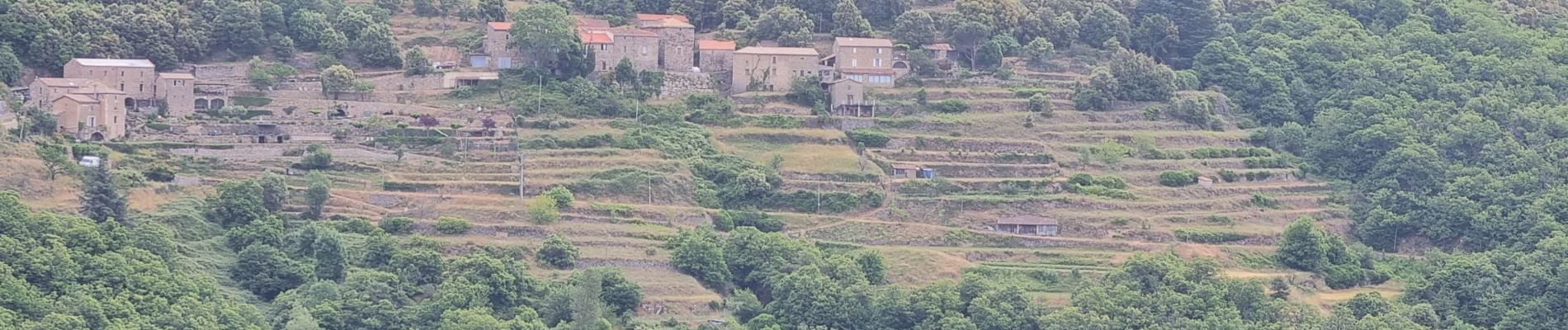 Tour Wandern Val-d'Aigoual - Bonperrier - col de l'Homme Mort - Photo