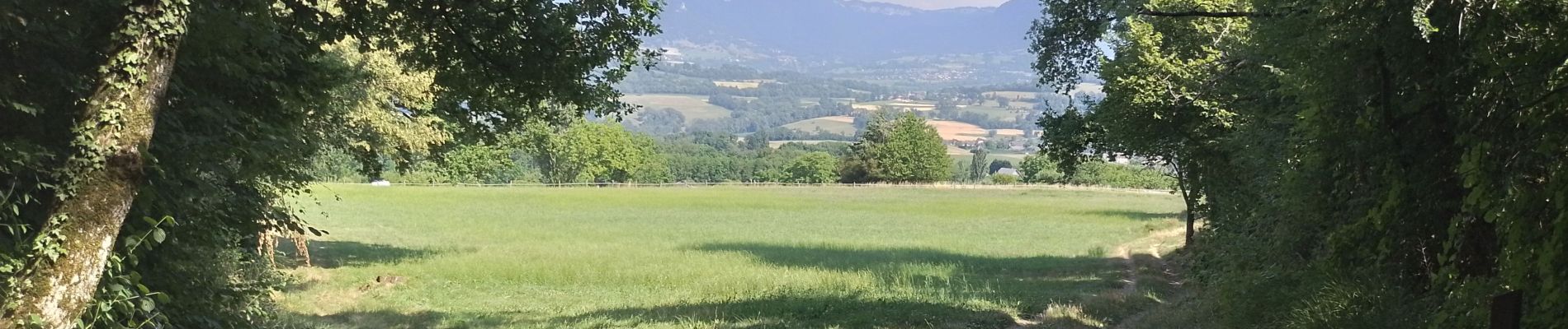 Randonnée Marche La Biolle - La Biolle  - Photo