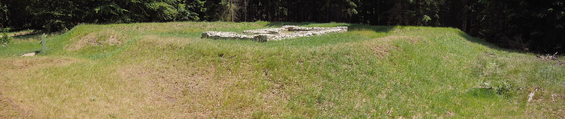 Tour Zu Fuß Schmitten - Sandplacken: Milan - Photo