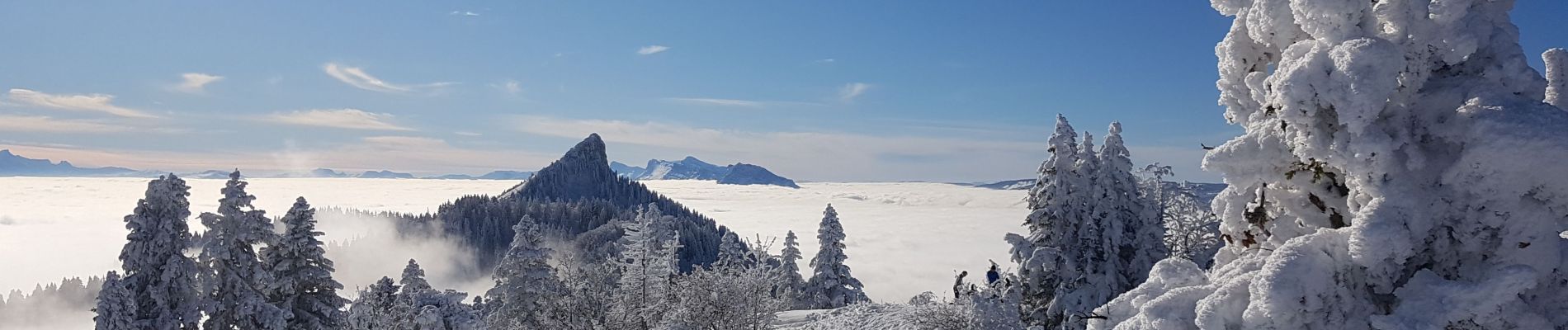 Tocht Sneeuwschoenen Sarcenas - Le  Mont Fromage et ses crêtes - Photo