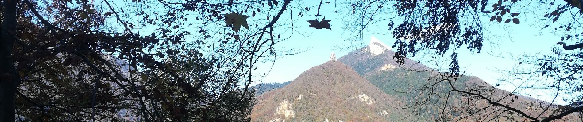 Tocht Stappen Saint-Martin-le-Vinoux - batterie chartreuse 2019 - Photo