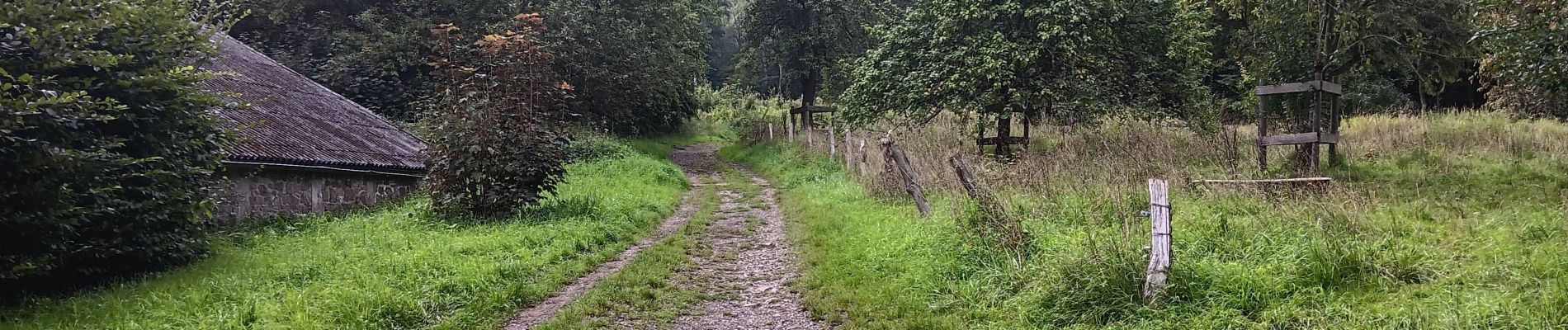 Tocht Stappen Luik - autour du domaine universitaire  - Photo