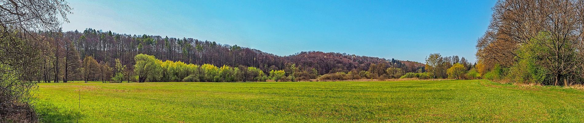 Tocht Te voet Blieskastel - Hasen-Rundwanderweg Blickweiler - Photo